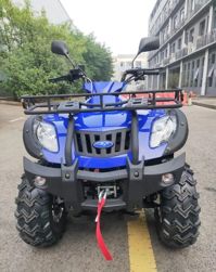 купить Квадроцикл SHARMAX Alligator 400  (2024) в Москве - фото 