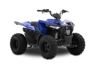 купить Квадроцикл SHARMAX Cross 200 (2024) в Москве - фото 