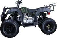 купить Квадроцикл AVANTIS Hunter 150 Lite в Москве - фото 