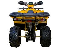 купить Квадроцикл AVANTIS Hunter 200 Big Lux (Баланс. вал) в Москве - фото 