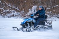 купить Снегоход SHARMAX SN-210 Forester Classic в Москве - фото 