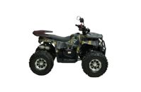 купить Квадроцикл Motax Grizlik Premium 150 в Москве - фото 