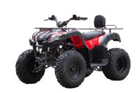 купить Квадроцикл UNIVERSAL Bull 200 в Москве - фото 