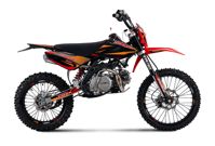 купить Мотоцикл TMBK Pitster SP1 150 Biggy в Москве - фото 