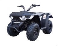 купить Квадроцикл LINHAI-YAMAHA M200 в Москве - фото 