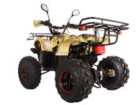 купить Квадроцикл AVANTIS Hunter 8 Lux в Москве - фото 