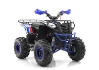 купить Квадроцикл MOTAX Grizlik A125 в Москве - фото 