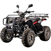 купить Квадроцикл YACOTA Sela Lux 150 LD в Москве - фото 