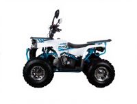 купить Квадроцикл Avantis Aura 125 Рrеmium в Москве - фото 