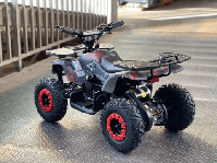 купить Электроквадроцикл MOTAX GRIZLIK X16 NEW E1000 BW в Москве - фото 