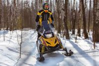 купить Снегоход РУССКАЯ МЕХАНИКА Tiksy 250 Люкс в Москве - фото 