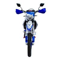 купить Мотоцикл кроссовый эндуро REGULMOTO Legend 300 в Москве - фото 