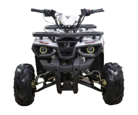 купить Квадроцикл AVANTIS Hunter 7 New Lux в Москве - фото 