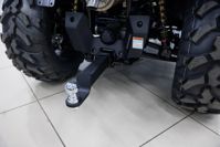 купить Квадроцикл HISUN Guardian 750L Long в Москве - фото 