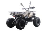 купить Квадроцикл MOTAX ATV Grizlik Premium 125cc в Москве - фото 