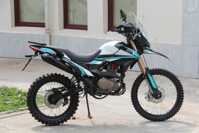 купить Мотоцикл кроссовый эндуро SHINERAY Adventure 250 в Москве - фото 