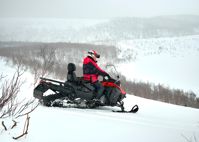 купить Снегоход SHARMAX Ace 900 в Москве - фото 