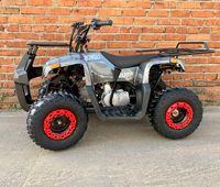 купить Квадроцикл MOWGLI Sharp в Москве - фото 