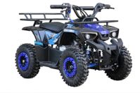 купить Квадроцикл Avantis Сlаssiс Mini 4T в Москве - фото 