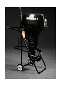 купить 2х-тактный лодочный мотор SUZUKI DT30S в Москве - фото 