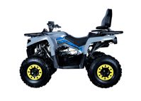 купить Квадроцикл AVANTIS Forester Long 200 Basic в Москве - фото 