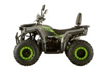 купить Квадроцикл AVANTIS Optima 200 Lux в Москве - фото 