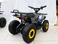 купить Электроквадроцикл MOTAX Grizlik X16 New E1000 в Москве - фото 