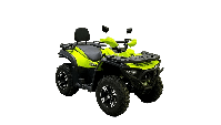 купить Квадроцикл BISON 330L в Москве - фото 