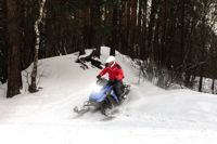 купить Снегоход SHARMAX SN-280 в Москве - фото 