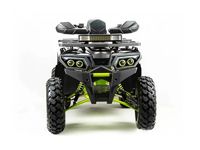 купить Квадроцикл MOTOLAND 200 Wild Track Pro в Москве - фото 