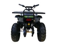 купить Электроквадроцикл MOTAX Grizlik X16 New E1000 в Москве - фото 