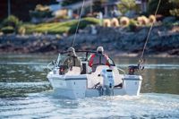 купить 4х-тактный лодочный мотор HONDA BF50 LRTU в Москве - фото 