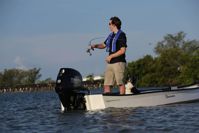 купить 4х-тактный лодочный мотор TOHATSU MFS 30 EPS в Москве - фото 