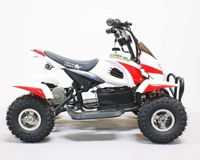 купить Электроквадроцикл GREEN CAMEL Гоби K12 в Москве - фото 