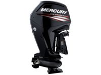 купить 4х-тактный лодочный мотор MERCURY ME JET 65 в Москве - фото 