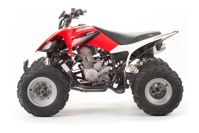 купить Квадроцикл MOTOLAND 250S в Москве - фото 