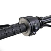 купить Электромотоцикл E RIDE Pro-SS 19 в Москве - фото 