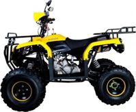 купить Квадроцикл AVANTIS Patriot M в Москве - фото 