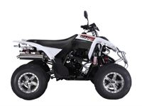 купить Квадроцикл RATO RТ250SТ-2 в Москве - фото 