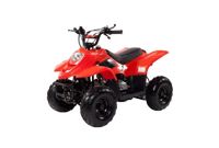 купить Квадроцикл IRBIS Dingo 50s в Москве - фото 
