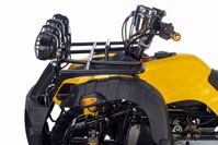 купить Квадроцикл TIGER Sport 250 (2024) в Москве - фото 