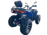 купить Квадроцикл MOTOLAND 300 Wild Track LUX в Москве - фото 