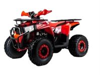 купить Квадроцикл MOTOLAND Shark 125 в Москве - фото 