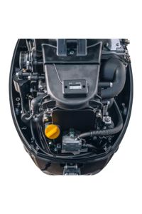 купить 4х-тактный лодочный мотор REEF RIDER RRF20HS в Москве - фото 