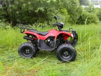 купить Квадроцикл ARMADA ATV 150L в Москве - фото 
