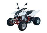 купить Квадроцикл SYM QuadRaider 450 в Москве - фото 
