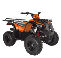 купить Квадроцикл ABM Ninja 110 в Москве - фото 