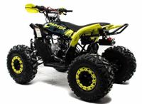 купить Квадроцикл MOTOLAND 125 Raptor в Москве - фото 