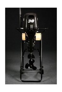 купить 2х-тактный лодочный мотор SUZUKI DT30S в Москве - фото 