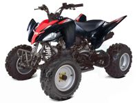 купить Квадроцикл ABM Scorpion 150 в Москве - фото 